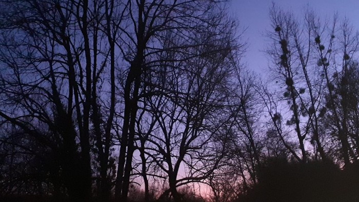 Abendstimmung am Fluss