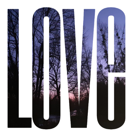 Spotty auf dem Taufbecken